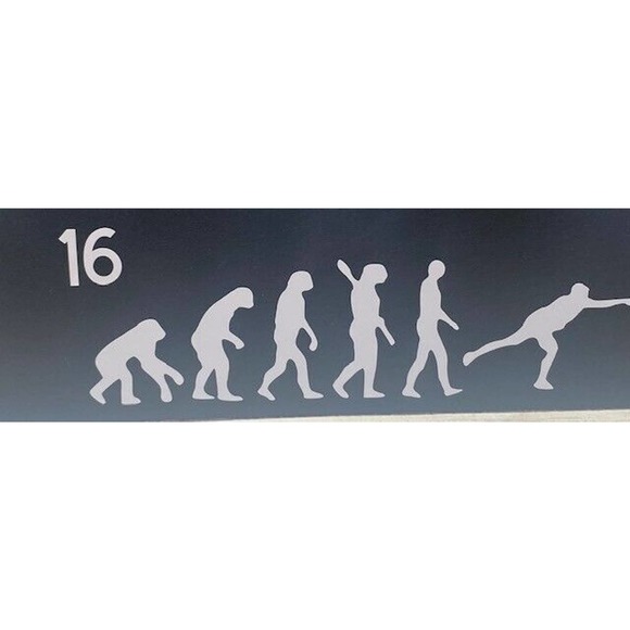 Disc Golf Vinyl Decals Stickers Car Truck RV Window Multiple Styles To CHOOSE - Picture 8 of 11